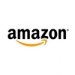 Amazon.com: Torrid Growth Continues